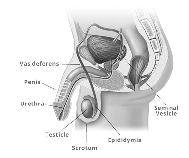 blog-post-image